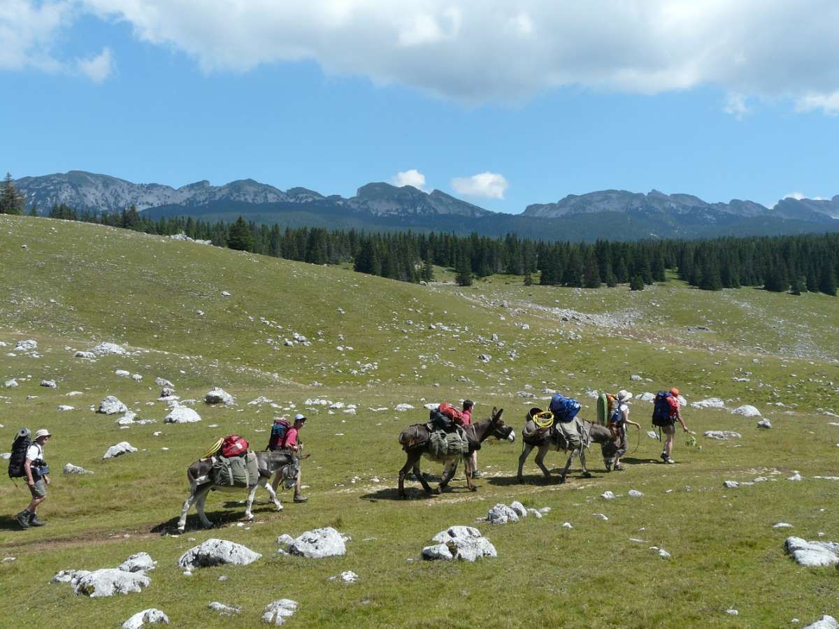 Office de Tourisme de VillarddeLans Job Tourisme