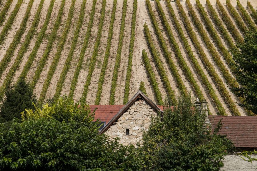 Bugey Plaine de l'Ain Tourisme Job Tourisme