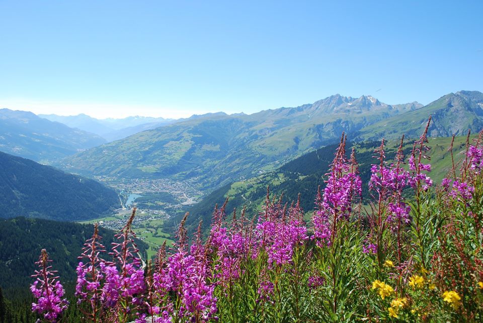 Office de Tourisme de La Rosière Job Tourisme Office de Tourisme de La Rosière Job Tourisme