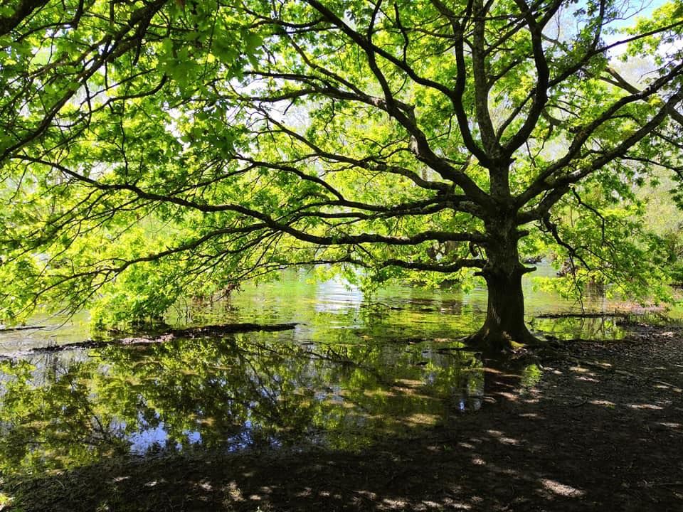 Hôtel Club du Lac d'Orient - Cap France | Job Tourisme