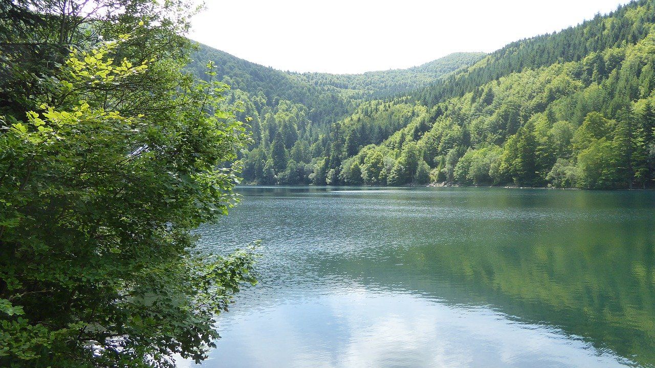 Hautes Vosges Tourisme - Gérardmer